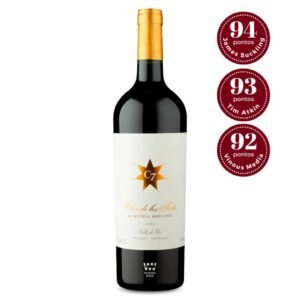 vinho tinto clos de los siete