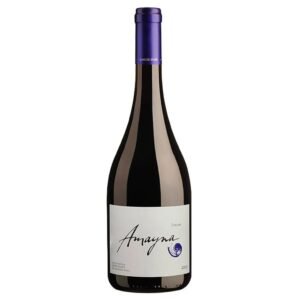 vinho tt amayna syrah